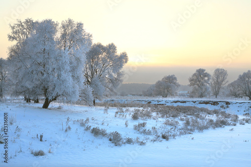 Sunset over the forest in frost © salman2