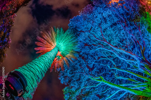 Foto New Zealand
