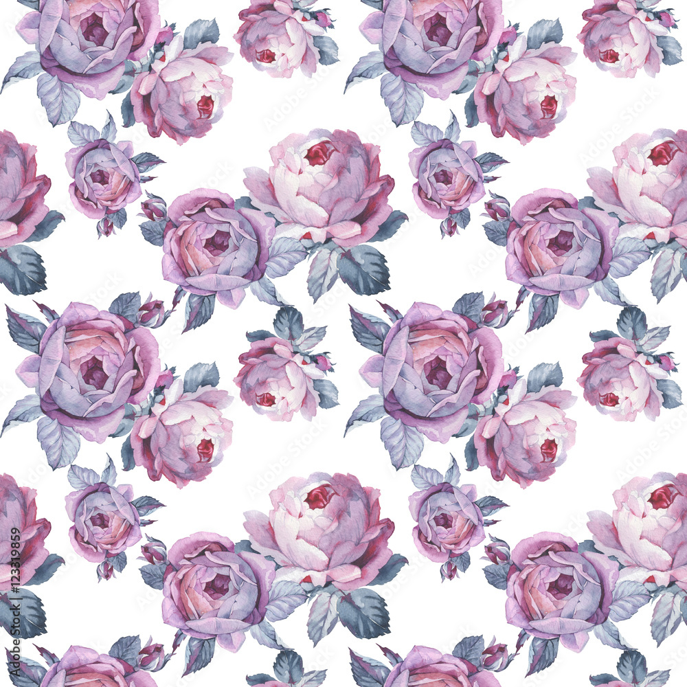 Wildflower rose flower pattern in a watercolor style isolated. Full name of the plant: rose, hulthemia, rosa. Aquarelle wild flower for background, texture, wrapper pattern, frame or border.