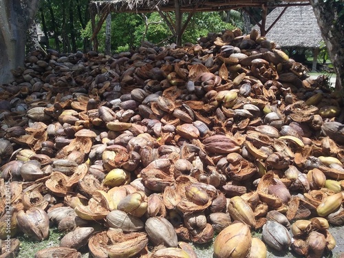 Noix de coco