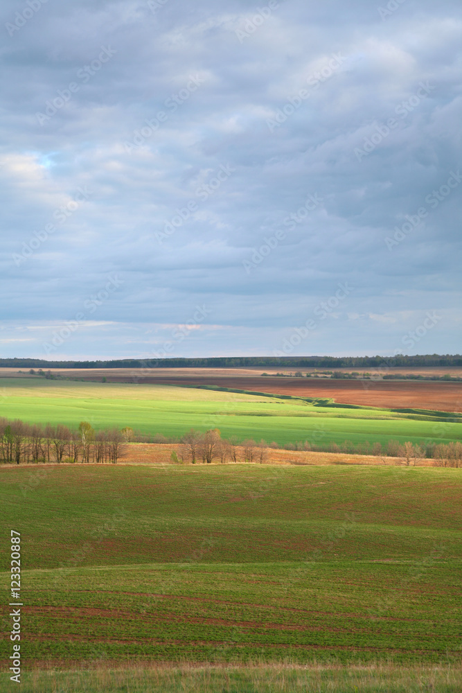 Obraz premium Spring landscape