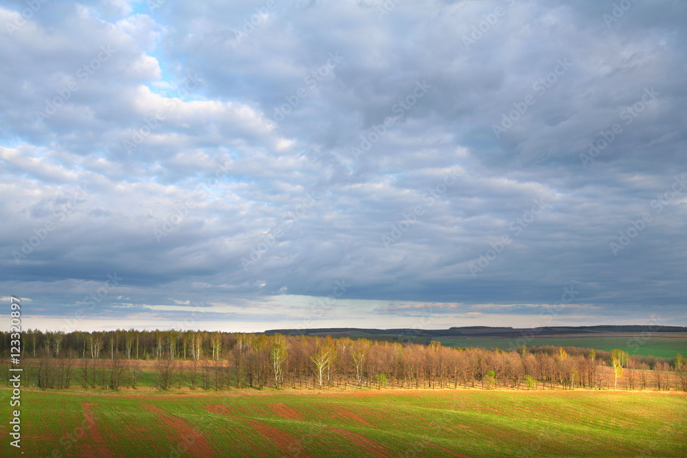 Spring landscape Spring landscape