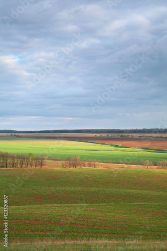 Spring landscape