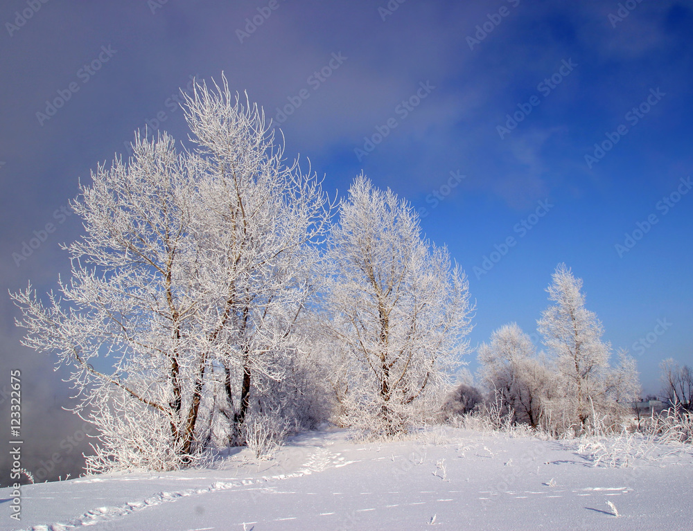 winter morning on the river