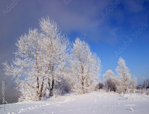 winter morning on the river