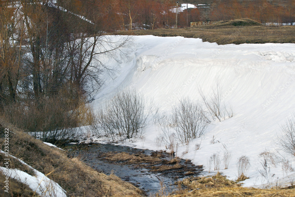 Fototapeta premium early spring