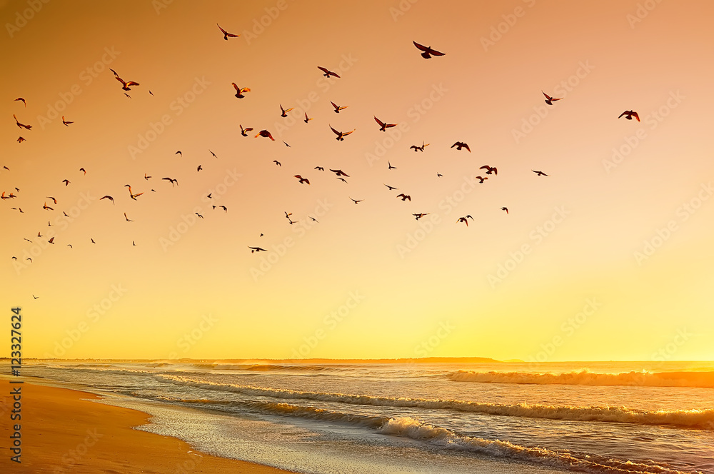 beautiful sunrise on the Atlantic Ocean. Rolling waves in the warm sunshine, lot of birds in the sky 