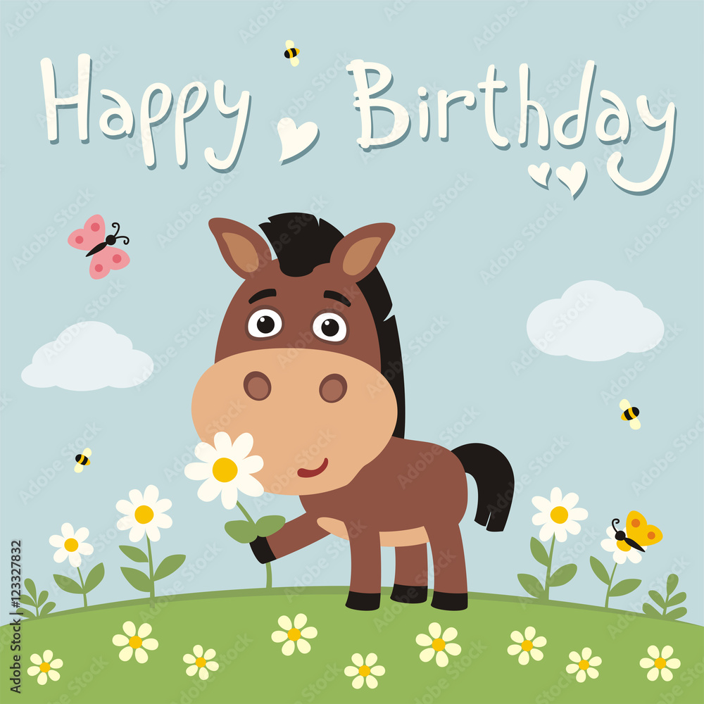 Happy birthday! Cute horse with flower camomile on flower meadow