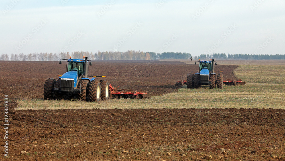 Obraz premium cultivation