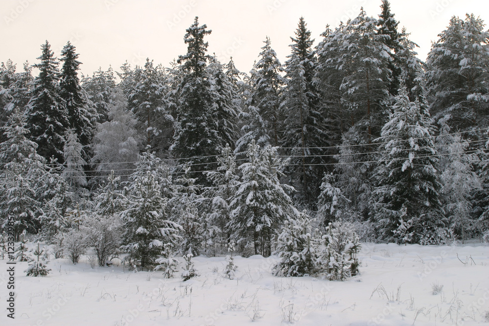 Walk through the beautiful places frosty Russian winter Walk through the beautiful places frosty Russian winter