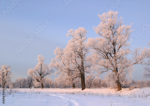 a long walk in nature snowy Russian winter
