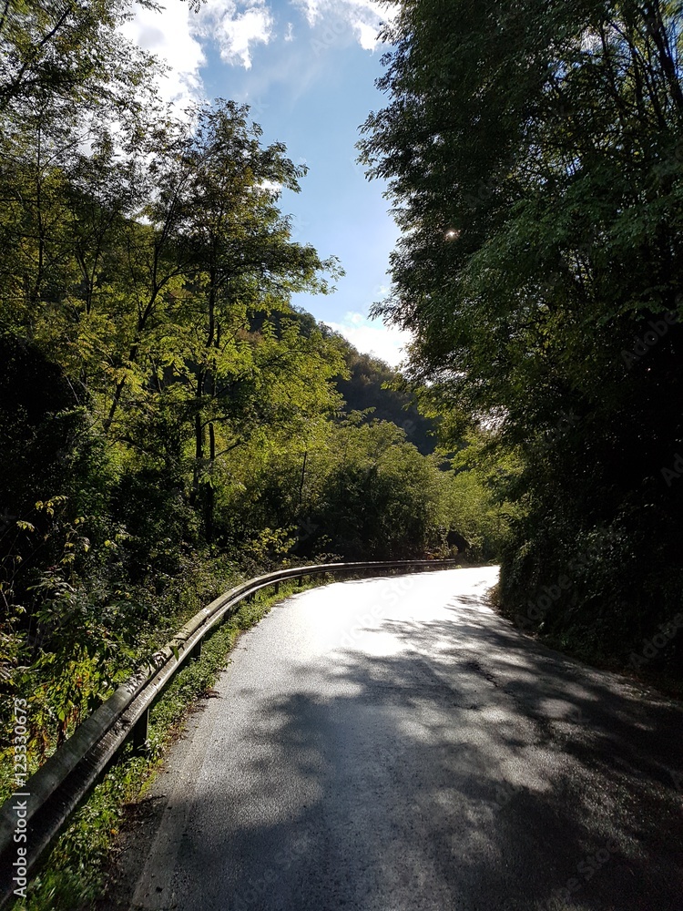Obraz premium Road through nature