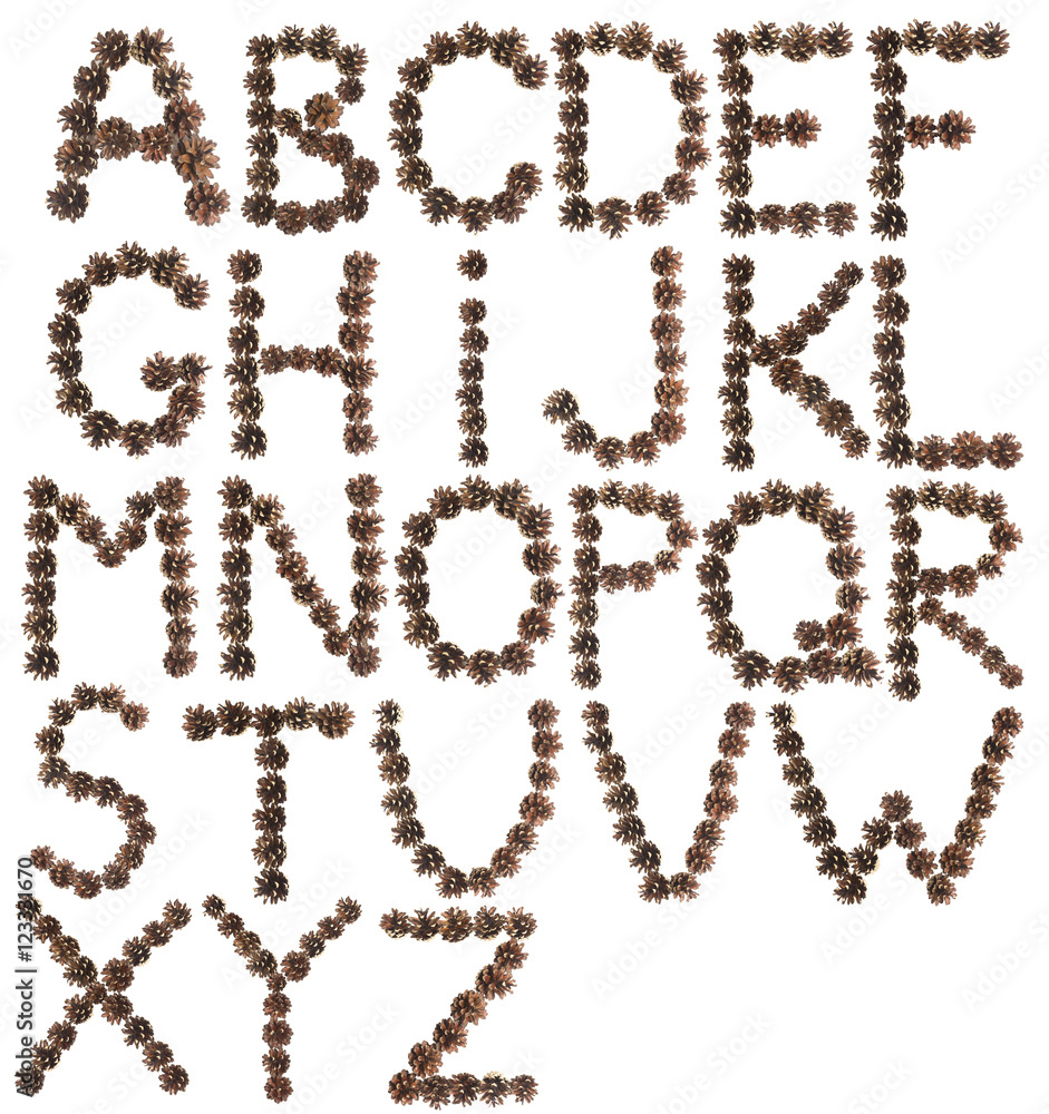 full English alphabet made of pine cone full English alphabet made of pine cone