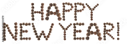 happy new year phrase made of pine cone