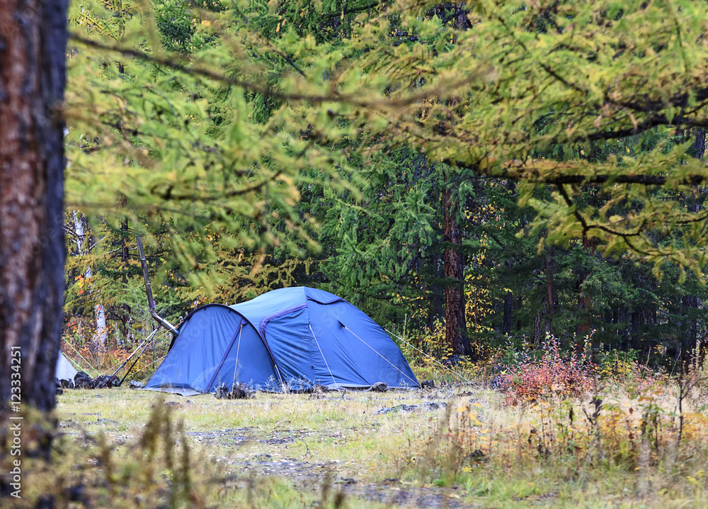 tent standing in the woods tent standing in the woods