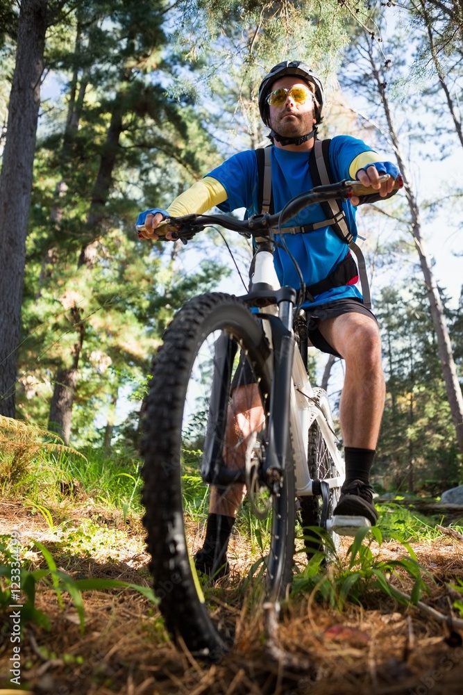 Male mountain biker with bicycle in the forest Male mountain biker with bicycle in the forest