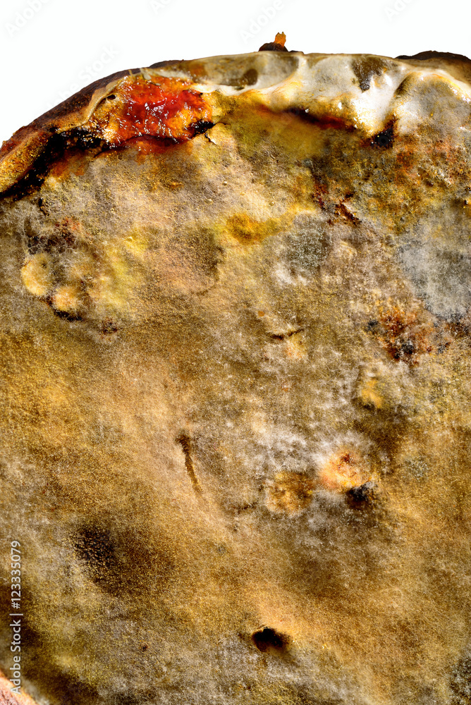 Naklejka premium Food mould on jam close up.