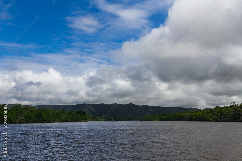 Panorama the River at the Daintree Rainforest, Australia