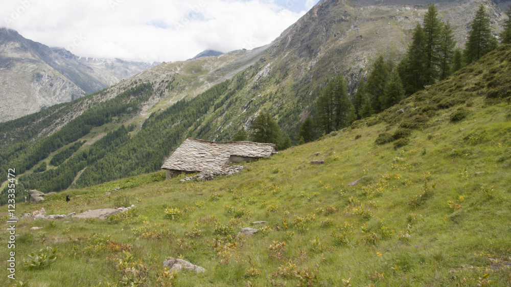 Obraz premium Switzerland mountains 