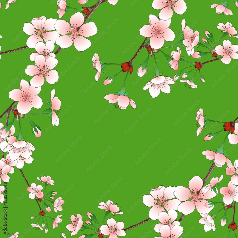 Fototapeta premium Flowering branch of cherry - seamless wallpaper.