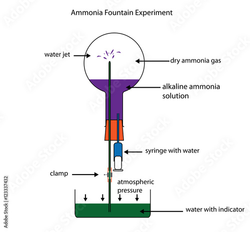 Ammonia fountain experiment showing solubility of ammonia gas photo