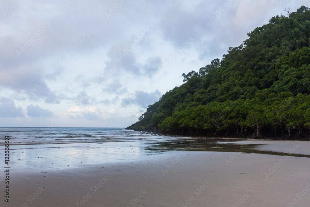 View of the Beach in the Daintree Rainforest, Australia