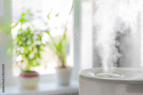Humidifier spreading steam photo