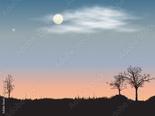 evening sunset with a full moon in the meadow with trees. Starry sky with clouds. Landscape design for wallpapers and backgrounds.