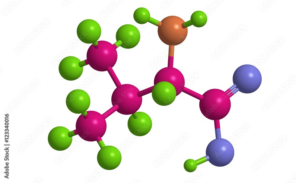 Molecular structure of L-valine