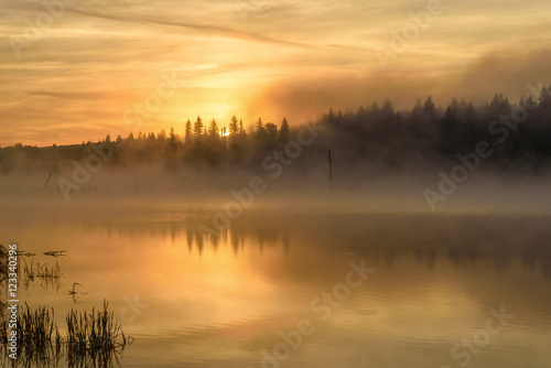 lake sunrise fog golden