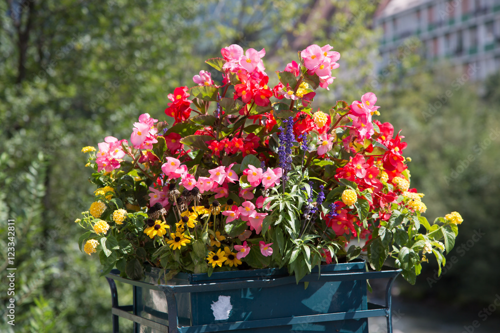 Naklejka premium Blumenschmuck