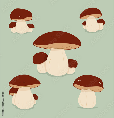 Cèpes