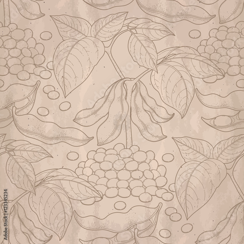 Graphic soybean collection