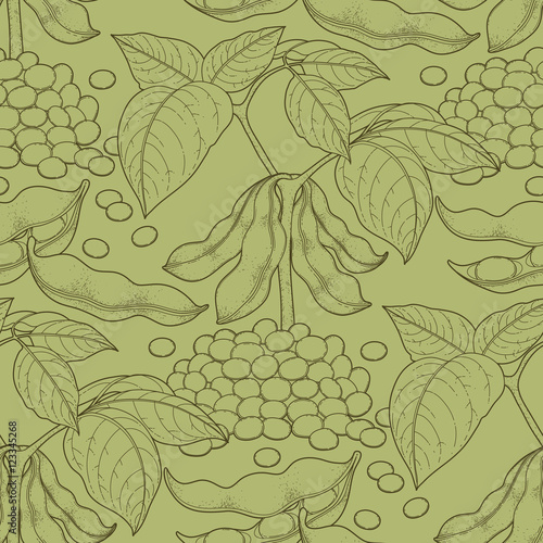 Graphic soybean collection
