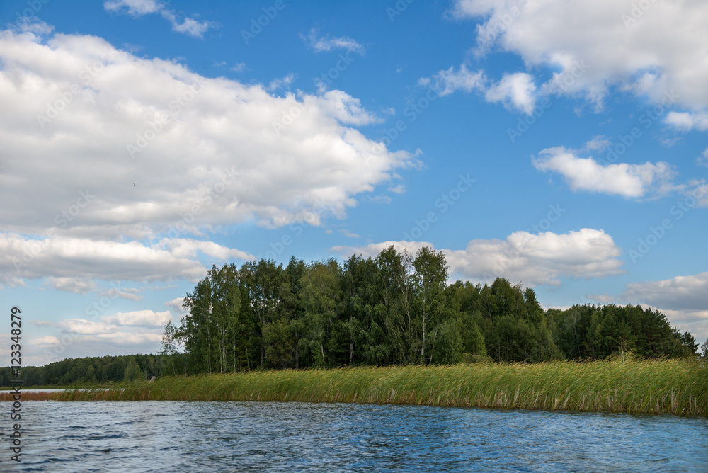 Fototapeta premium Forest, Lake and Blue Sky