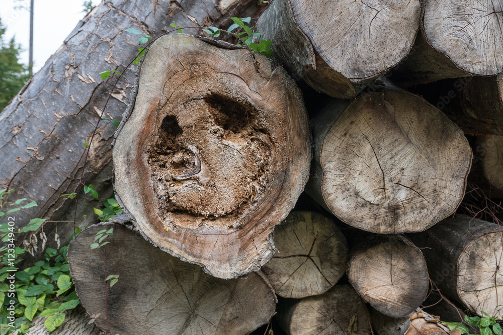 Holz-Smiley