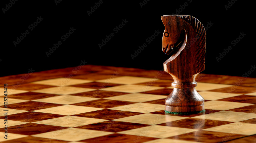 Knight, Wood Piece Of Chess Stock Photo, Picture and Royalty Free Image.  Image 19247654.