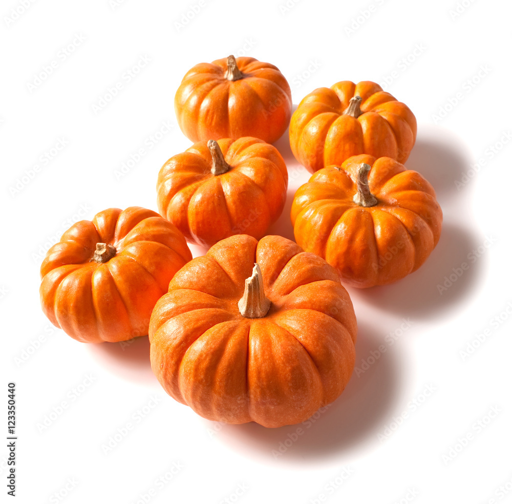Six Small Pumpkins on White Six Small Pumpkins on White