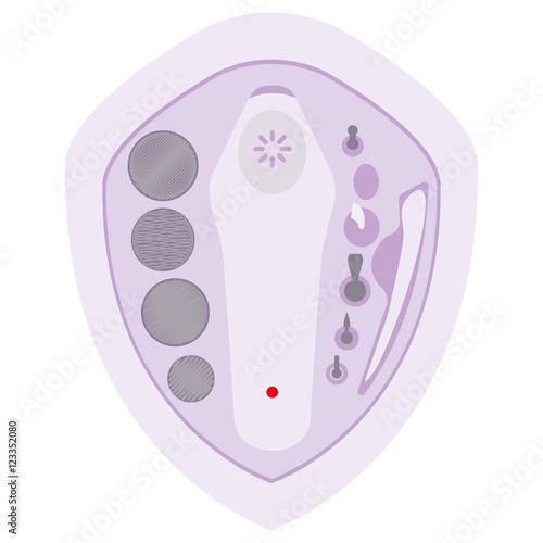 device for manicure. hardware . apparatus  pedicure