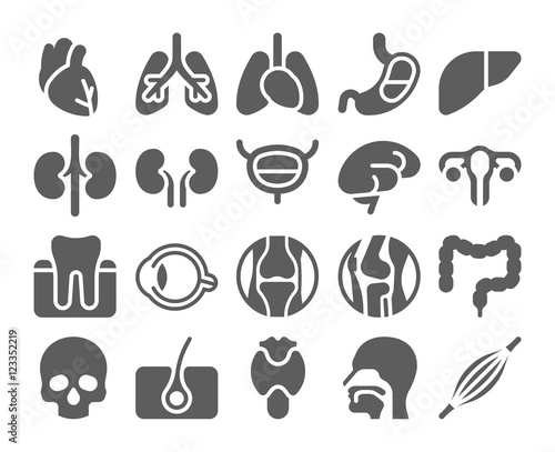 Human organs black icons set