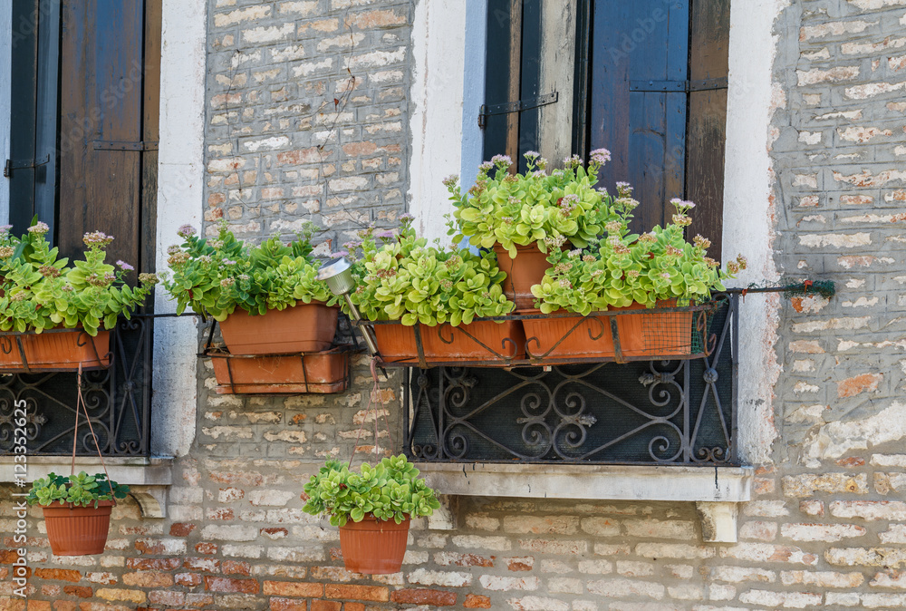 Facades Venice, flowers outside the window