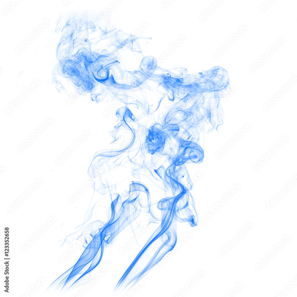 Fototapeta premium smoke abstract. movement of smoke ink. Abstract design of powder ink cloud.