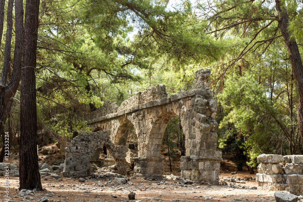 the ruins of the ancient city of Phaselis