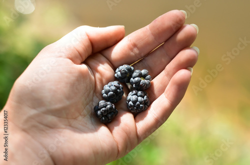 A girl holding a blackberry in his hands
