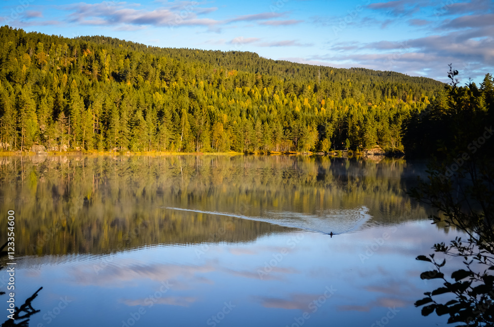 morning fog in autumn landscape norway