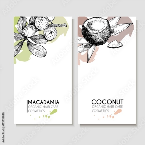 Vector set of hair care ingredients. Organic hand drawn elements. Flyers with macadamia and coconut.