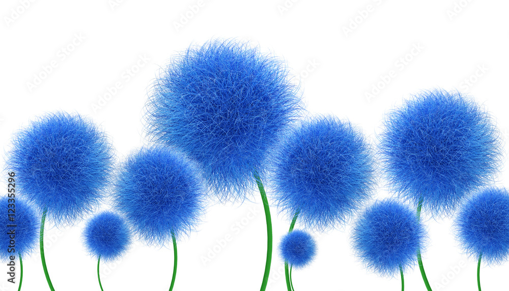 Niebieskie kwiaty na białym tle - obrazy, fototapety, plakaty 