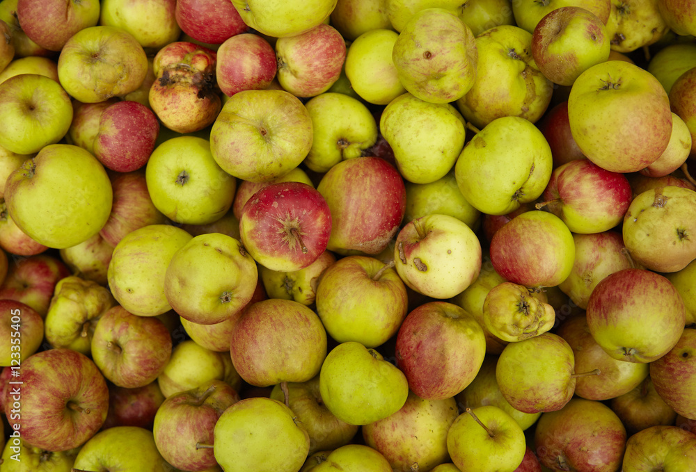 A whole page of picked apple background texture A whole page of picked apple background texture