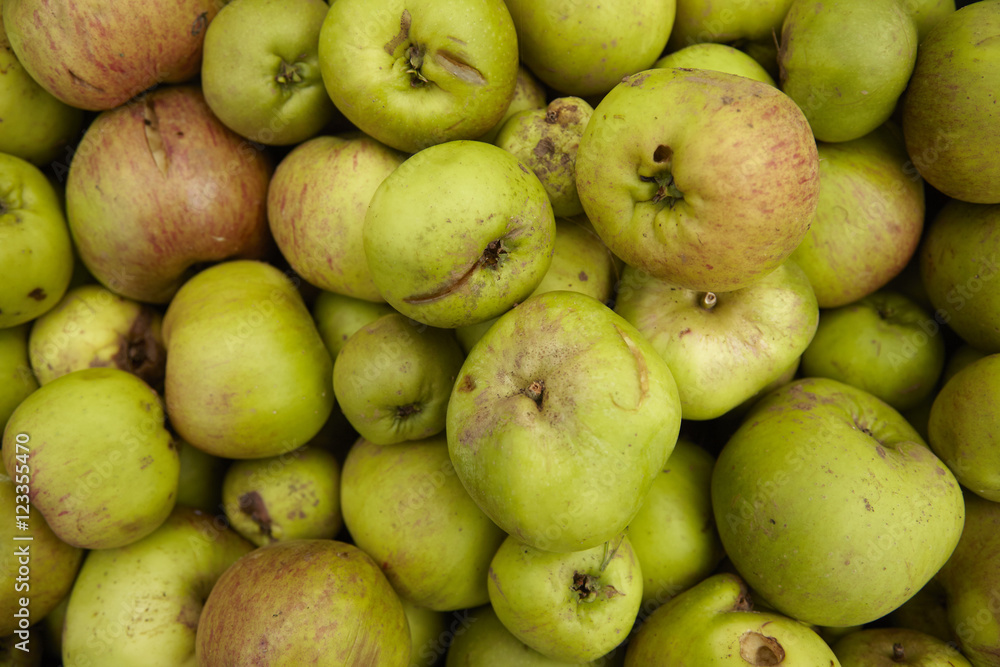A whole crate of picked cooking apples background texture A whole crate of picked cooking apples background texture