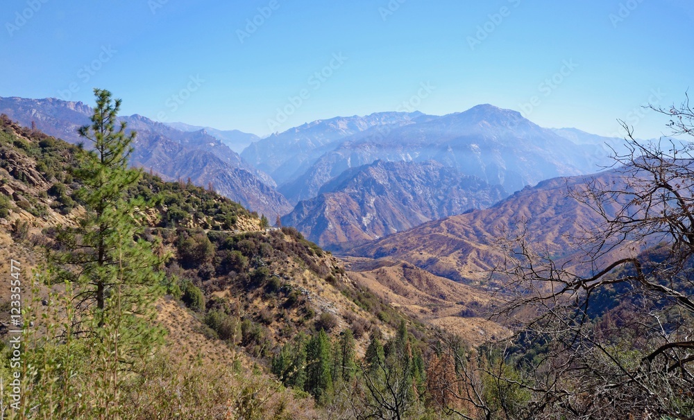 Fototapeta premium Kings Canyon Vista